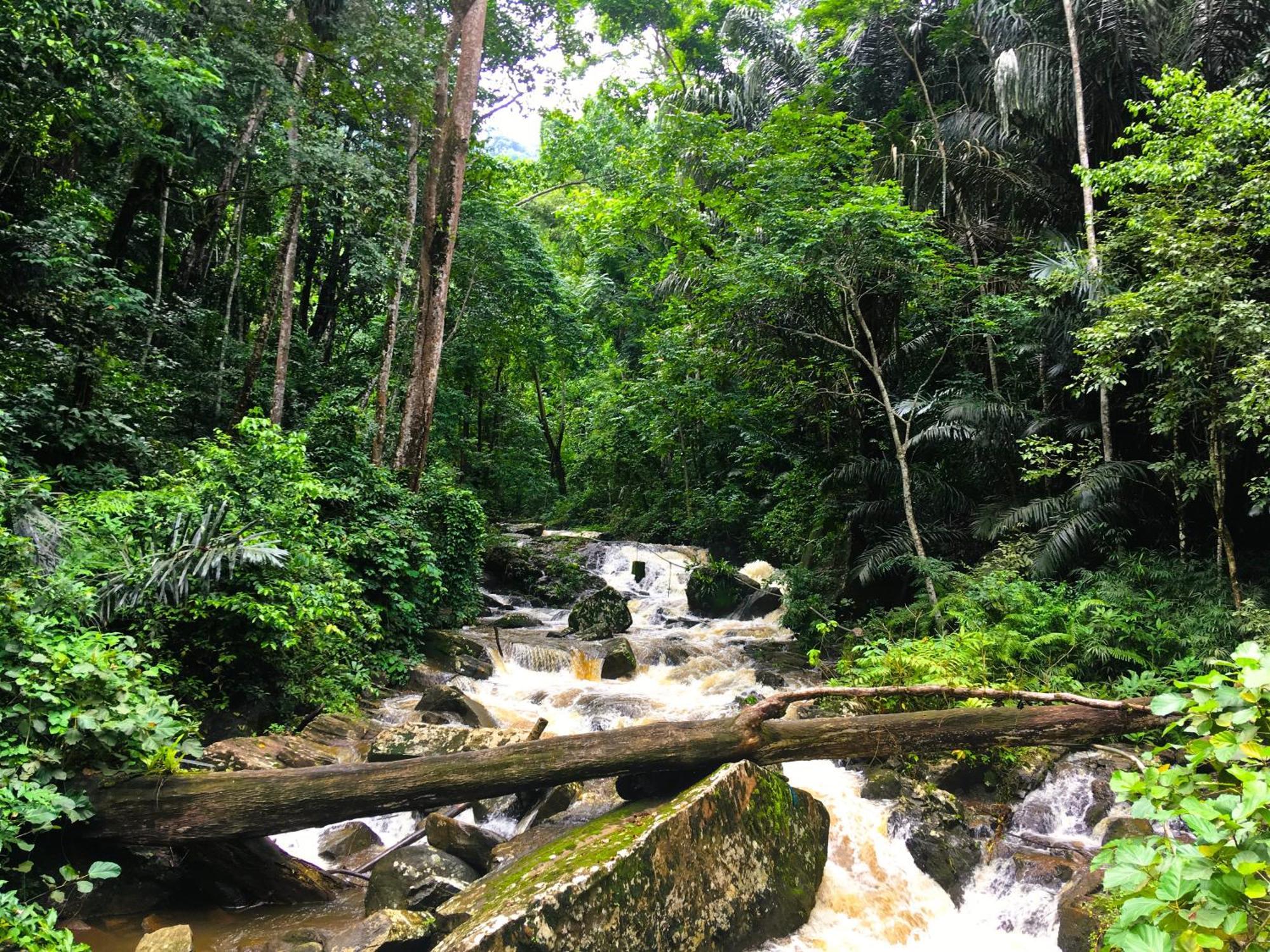 Villa Kinyonga, Camp Mawingu Muheza Esterno foto