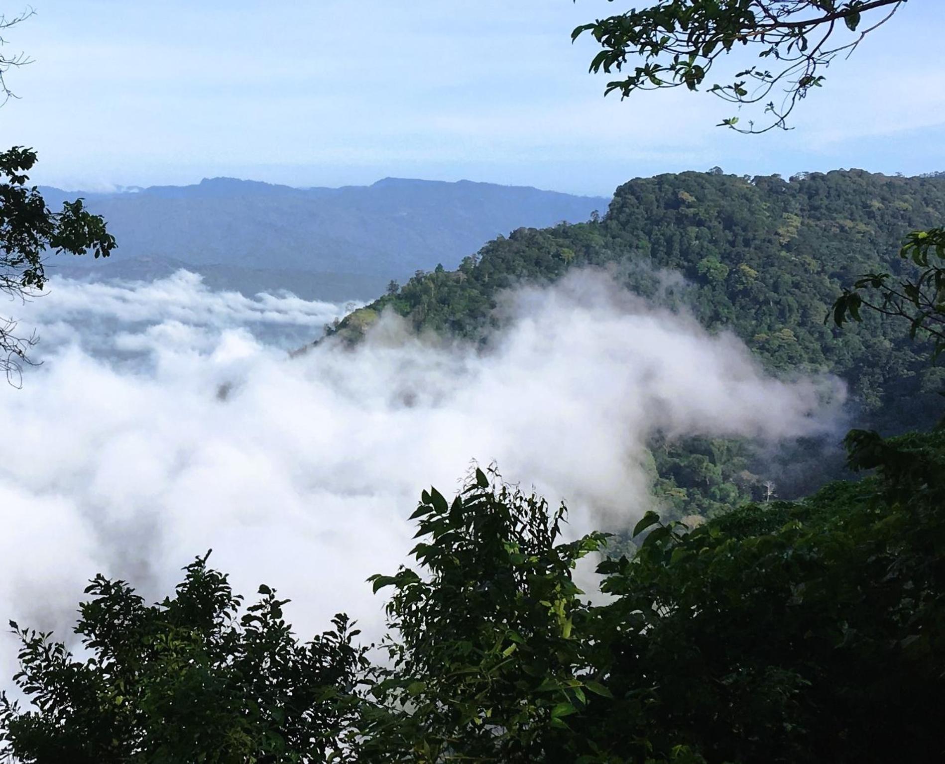 Villa Kinyonga, Camp Mawingu Muheza Esterno foto